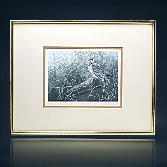 Vintage Don Li- Leger Short Eared Owl Framed Print 1986 Natural Art Artist BC - Picture 1 of 14